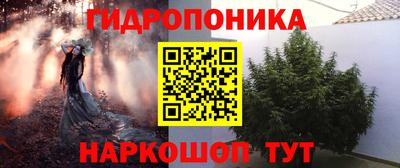 гашик Нарткала