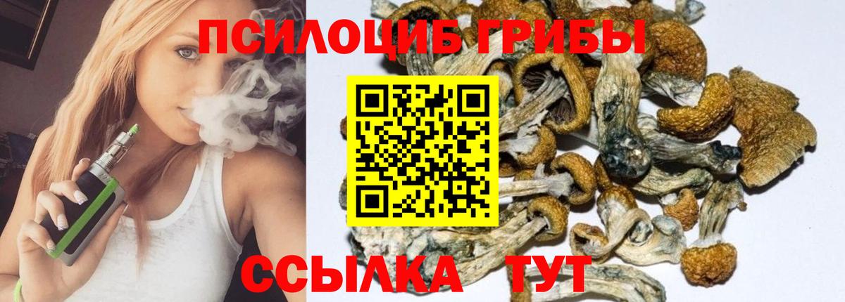 Галлюциногенные грибы ЛСД Чайковский